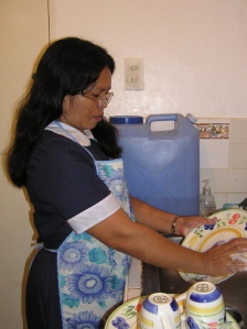 Domestic worker
